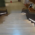 Biochemistry Building - Stairs (9 of 10) - Feature stairs