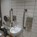 Biochemistry Building - Toilets - (2 of 8) - Rails either side of sink