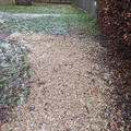 St Hilda's College - Gym - (3 of 12) - Gravel path