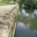 Botanic Garden - Gardens borders and outdoor areas - (4 of 5) 