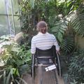 Botanic Garden - Gardens, Glasshouses - (4 of 5) - Glasshouse