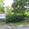 Harcourt Arboretum - Other sites - (4 of 5)