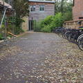Education - 15 Norham Gardens - Entrances - (3 of 8) - level route towards garden
