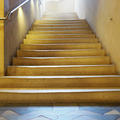 University Museum of Natural History - Stairs - (2 of 4) - South stairs